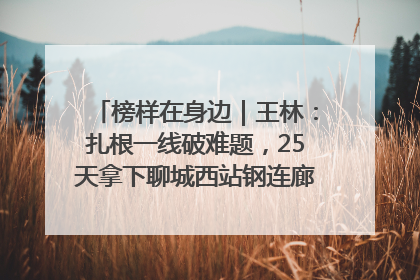 榜样在身边｜王林：扎根一线破难题，25天拿下聊城西站钢连廊“硬核”工程